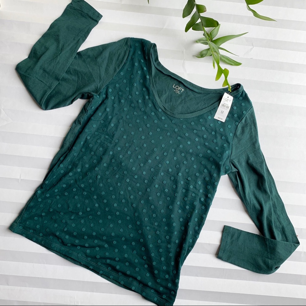 NWT Loft sweater